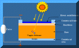 cella_funz.gif (33600 byte)
