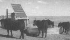 nebraska.jpg (19168 byte)