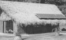 polinesia.jpg (18590 byte)
